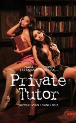 Private Tutor Erotik Film izle